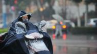 安徽大年三十或有降雨 春節(jié)期間氣溫起起伏伏