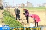 4人盗伐3棵树被判恢复环境 罚款外每人种10棵