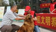 社區贈送狗繩 呼吁轄區居民文明養犬