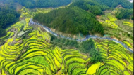 黃山市徽州區打造高顏值鄉村公路