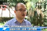 校外培训乱象|要不要上培训班 听听家长、老师、专家怎么说