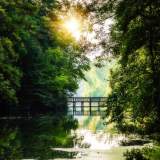 祝宝玉：纳凉