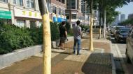 亳州三棵栾树惨遭扒皮 养护单位：无修复可能 已报案