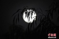 燈謎、舞獅、朗誦 安徽推出多彩活動(dòng)迎中秋