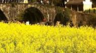 宣城4家4A景區(qū)門(mén)票降價(jià) 敬亭山票價(jià)降一半