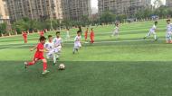 合肥稻香村小学两支球队角力青少年城市足球联赛
