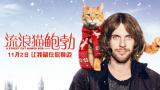 “网红猫+真实故事”《流浪猫鲍勃》定档11月2日