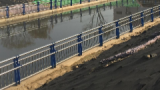亳州市西关排涝泵站污水泵站提前建成投用  