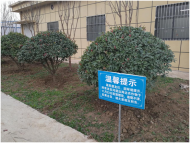網友吐槽合肥金水灣花園種菜擾民 瑤海區：已督促業主整改