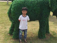 緊急尋人！淮南4歲兒童鄭嘉懿失蹤 目擊者請速與警方聯(lián)系