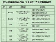 安徽省藥監(jiān)局向“十大皖藥”產(chǎn)業(yè)示范基地授牌
