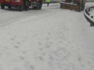 受大雪影響 黃山市有高速公路入口已經封閉