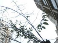 未拿預售證就賣房 合肥兩開發企業被扣信用分
