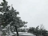 看！九華山天柱山迎來今冬首場雪 美景勝似仙境