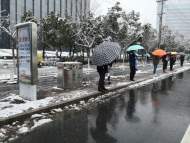 安徽46縣市出現積雪 最大在碭山達12厘米