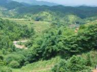 特岗教师刚上班就要去扶贫补助呢？砀山官方：没有
