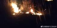 江畔蘆葦“火燒連營”        警民協力成功撲救