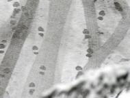安徽省減災(zāi)救災(zāi)辦：迎戰(zhàn)強(qiáng)降雪 做好冬春救助工作