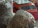 百貨店賣過期食品被查 店主咬傷執法人員被刑拘