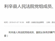 利辛县人民法院党组成员、副院长张伟接受审查调查