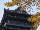合肥包公園春季文旅大戲即將“開唱” 臘八節邀市民免費品粥