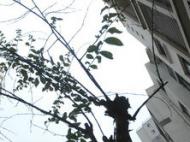 合肥上月新房價格環(huán)比漲0.4%