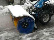 合肥廬陽：清除3萬棵樹木積雪 消耗融雪劑24噸（視頻）