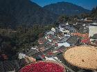 黃山市徽州文化生態保護實驗區迎來設立11周年