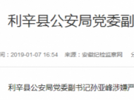 利辛县公安局党委副书记孙亚峰接受审查调查