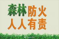 安慶加大對野外違規用火打擊力度 行政拘留33人