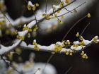 合肥“十大公園”有望今年內全開工