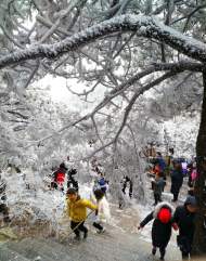 天柱山風景區2月11日9時起恢復運營