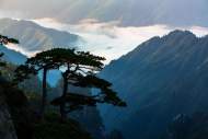 黃山市多景區(qū)近期對(duì)本地人優(yōu)惠
