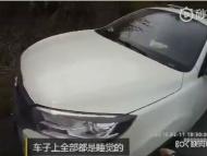 險！一家三口竟在高速上停車睡覺  車內還有小孩