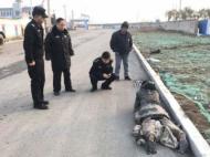 男子自称找朋友讨欠款 竟流落路边趴在地上匍匐前进