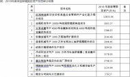 六安一專項引導資金項目2018年度新增固定資產投資審計結果公示