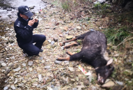 歙縣森林公安節前多舉措護航野生動物安全