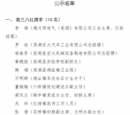 蕪湖縣三八紅旗手（集體）、巾幗建功標兵（先進集體）、巾幗文明崗候選人（單位）開始公示