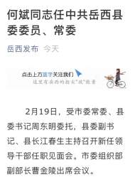 何斌同志任岳西縣委委員、常委