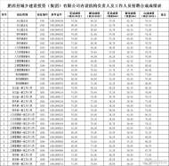 肥西縣城鄉建設投資（集團）有限公司內設機構招聘人員合成成績公示