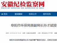 涉嫌严重违纪违法!阜阳市环保局原副局长孙才斌被查