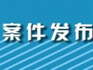 蚌埠兩男子“村霸”行為終被捕   雙罪領(lǐng)刑加罰金