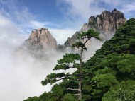 黃山最高峰蓮花峰今日起開放迎客 