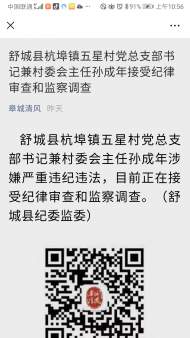舒城縣一村委會主任接受紀律審查和監察調查