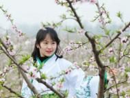 賞花吧！肥東洛神花海響導桃花節本月開幕