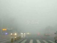 明天早晨安徽部分地區有霧 影響多條高速通行