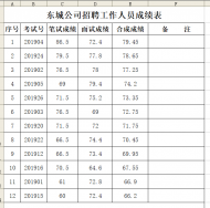 六安經(jīng)開區(qū)東城公司發(fā)布招聘工作人員總成績(jī)
