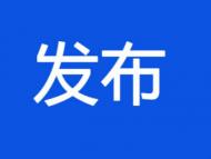 阜阳颍泉1~2月运用“四种形态”处理62人次