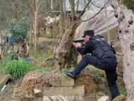 藏獒發(fā)狂連主人都咬 涇縣民警將其擊斃