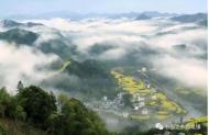 歙縣高山石潭村１５日舉辦油菜花節 